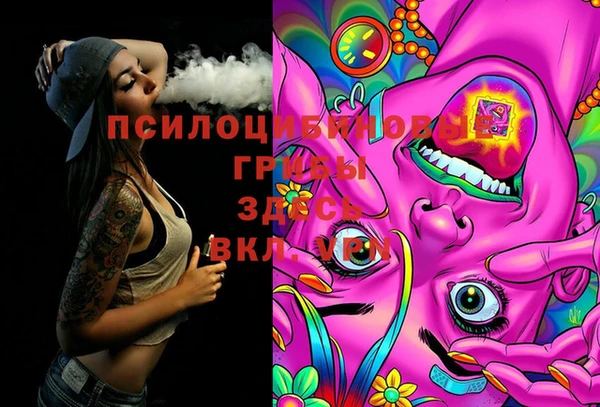 мяу мяу мука Слюдянка