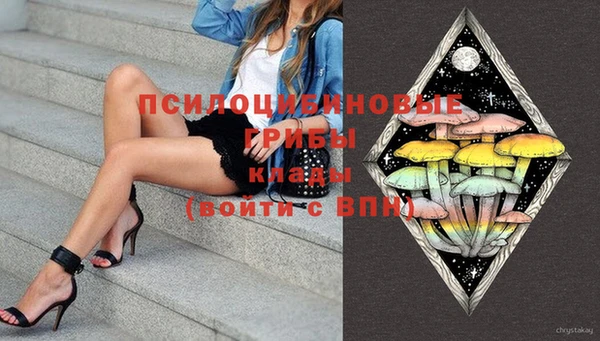 гидропоника Снежинск