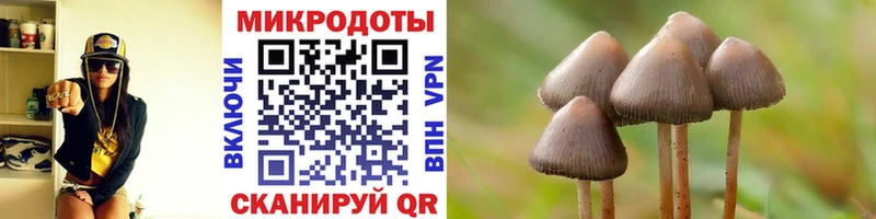 Купить где  Энгельс  Псилоцибиновые грибы прущие грибы 