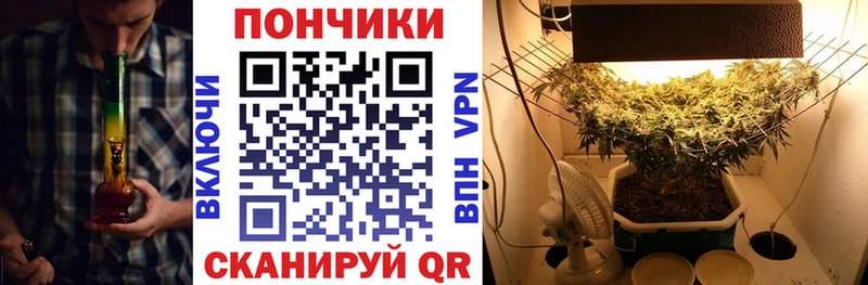 Бошки марихуана Bruce Banner Купить где Энгельс